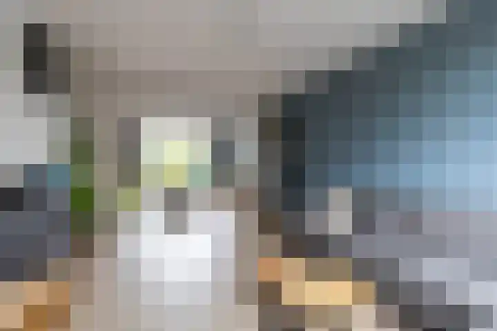 Van Starkenborghstraat 50 Groningen thumbnail 5
