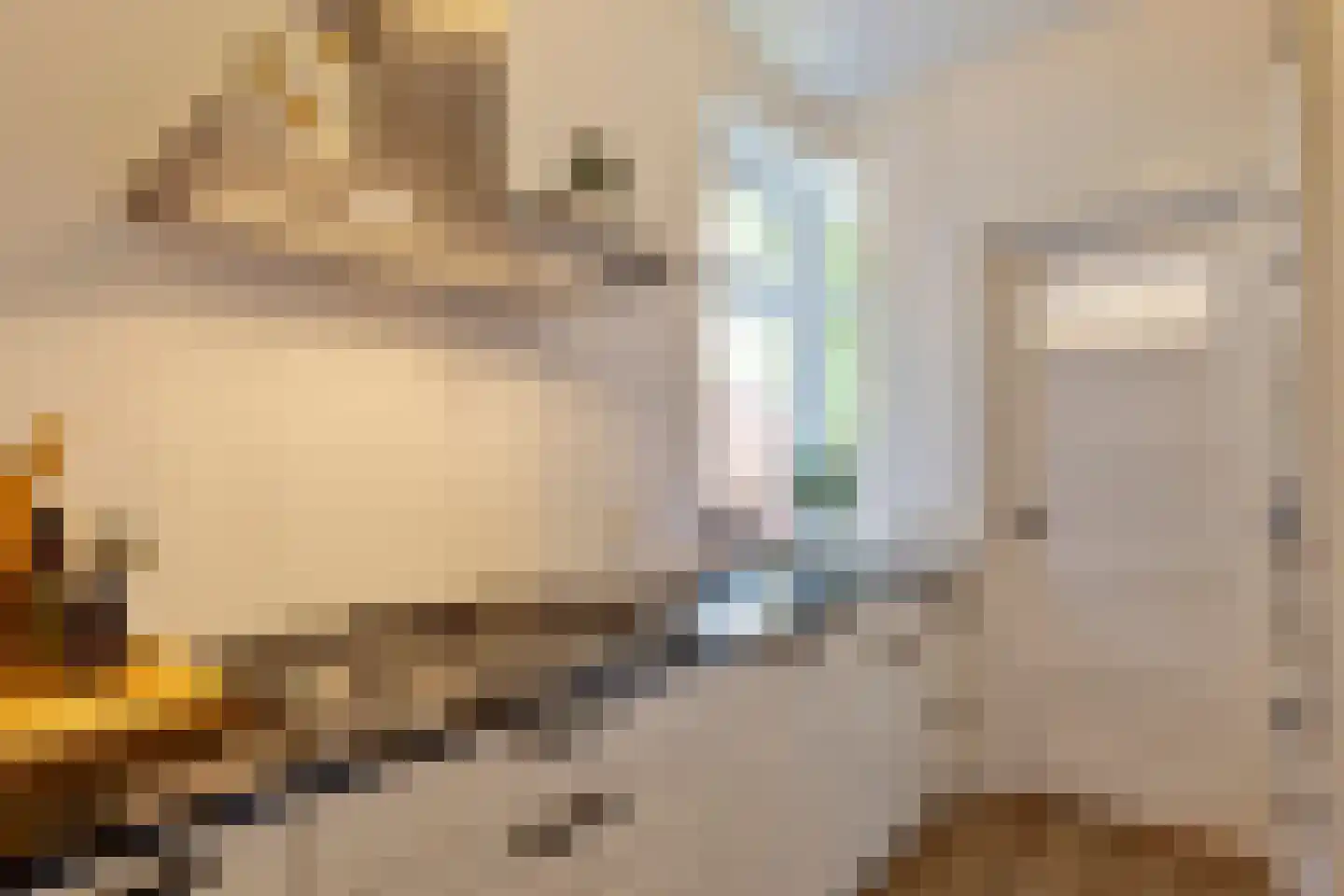 Van Starkenborghstraat 53 Groningen thumbnail 11
