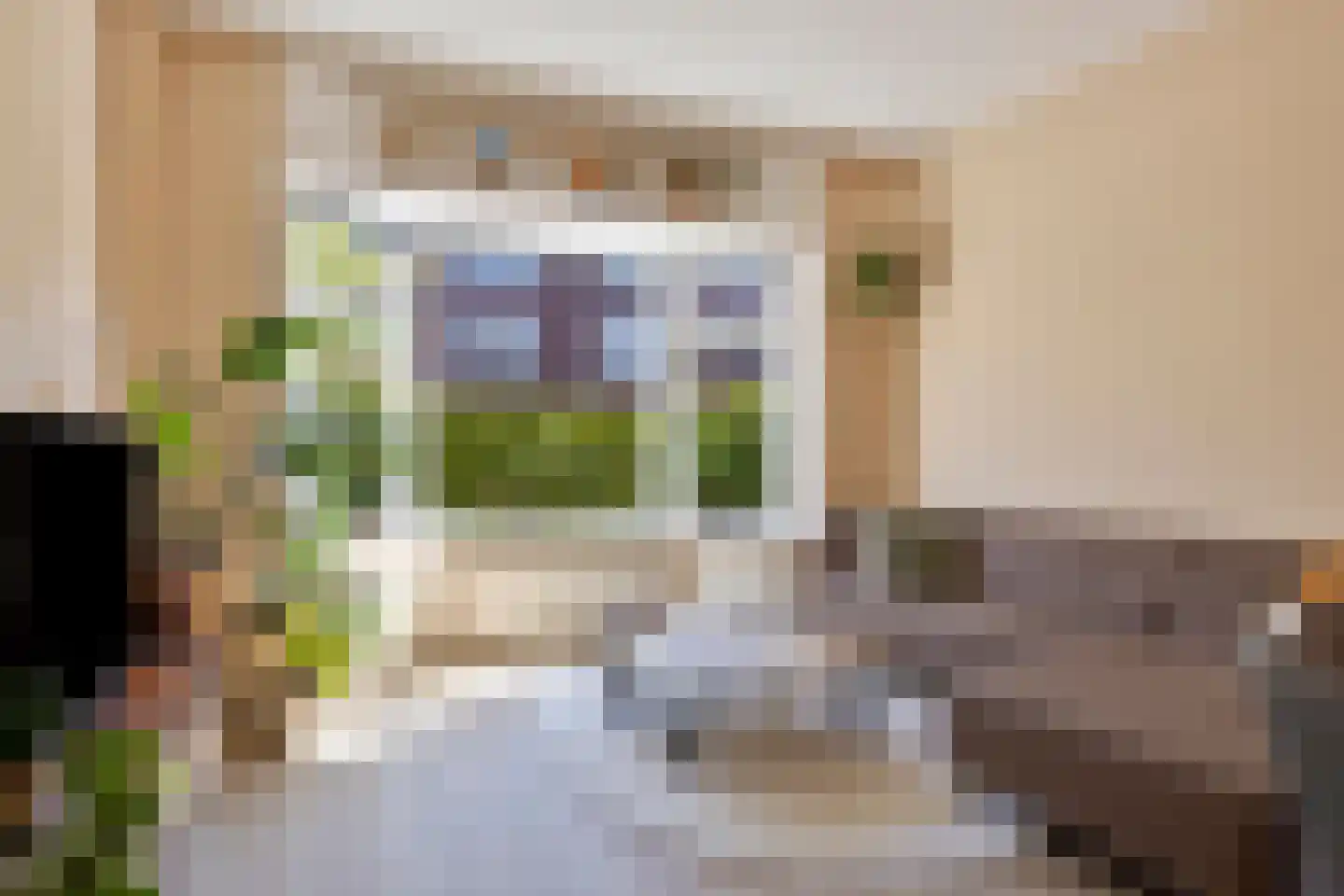 Van Starkenborghstraat 53 Groningen thumbnail 5