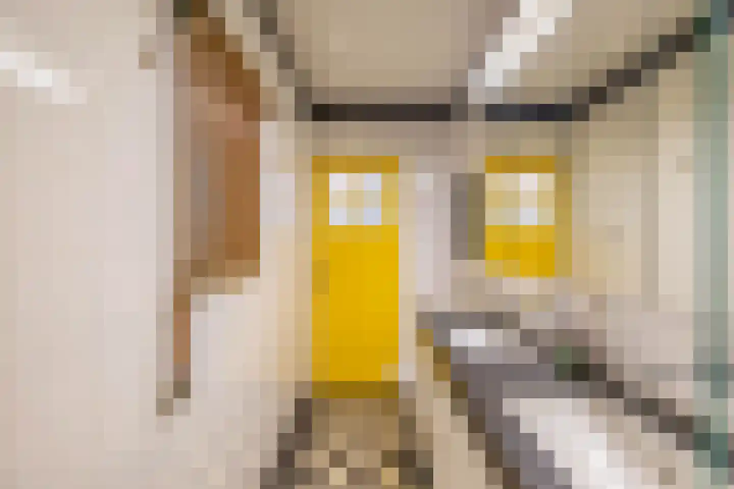Van Starkenborghstraat 70 Groningen thumbnail 27