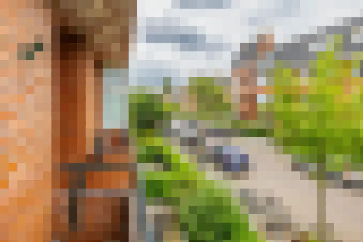 Van Starkenborghstraat 70 Groningen thumbnail 32
