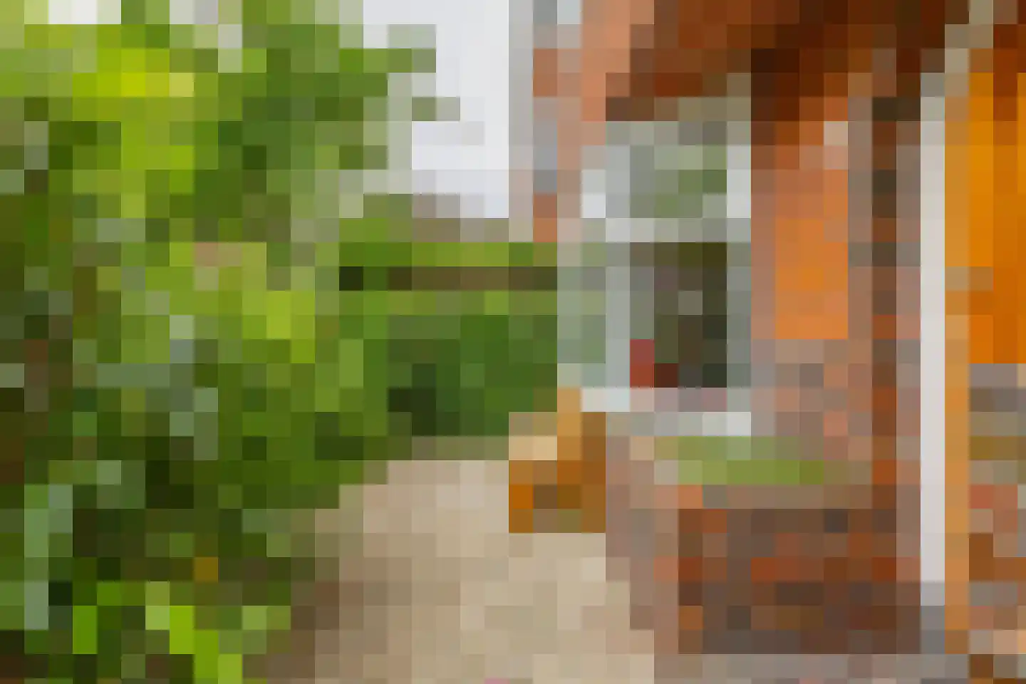 Van Starkenborghstraat 70 Groningen thumbnail 37
