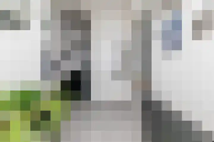 van Starkenborghstraat 92 Doetinchem thumbnail 10