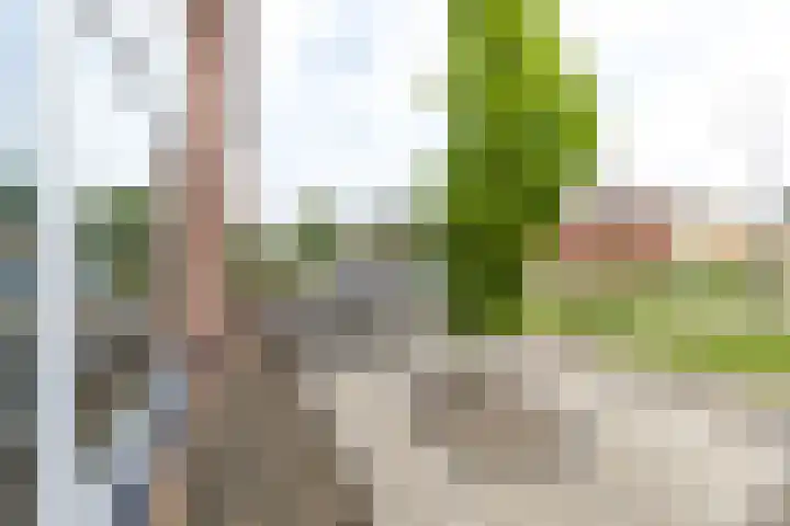 van Starkenborghstraat 92 Doetinchem thumbnail 5