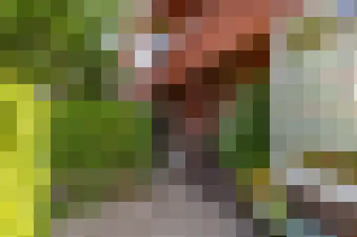 Van Starkenborghstraat 92 Groningen thumbnail 6
