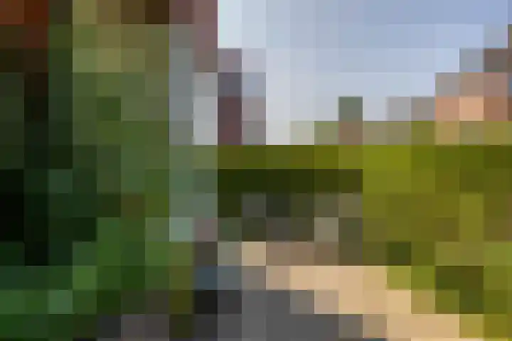Van Starkenborghstraat 92 Groningen thumbnail 7