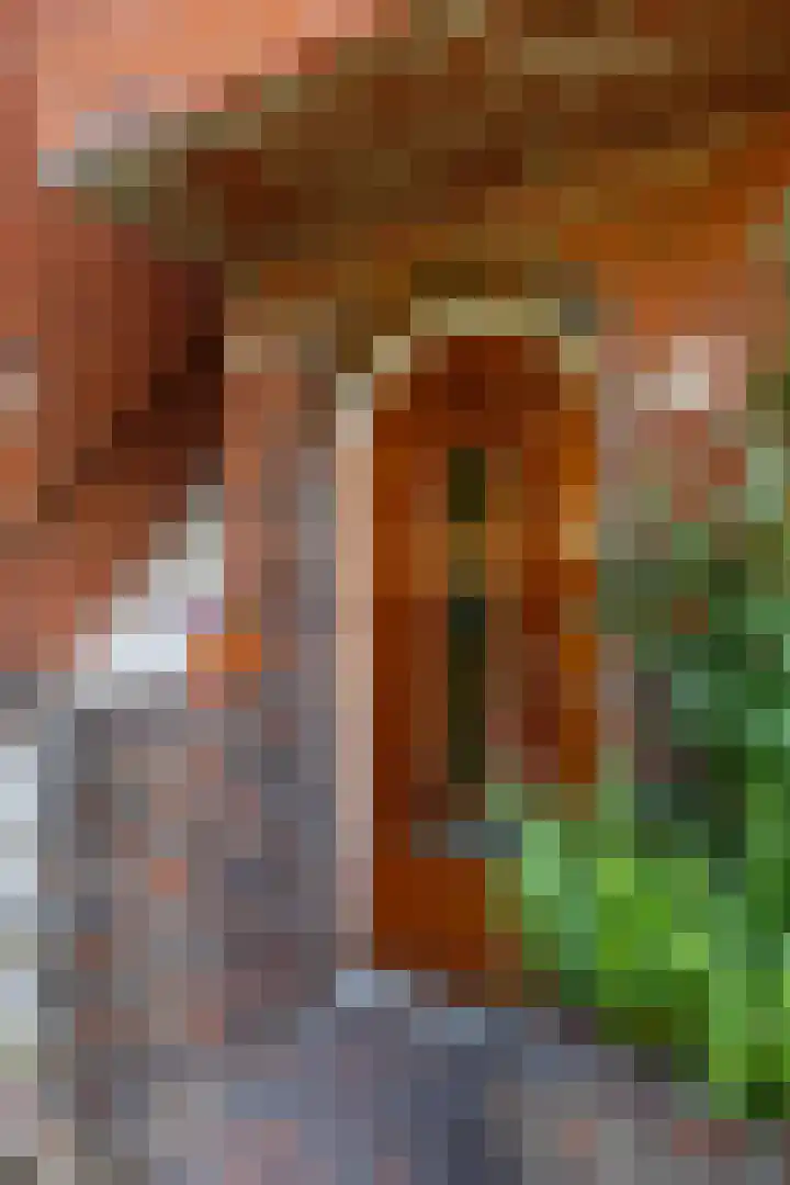Van Starkenborghstraat 92 Groningen thumbnail 8