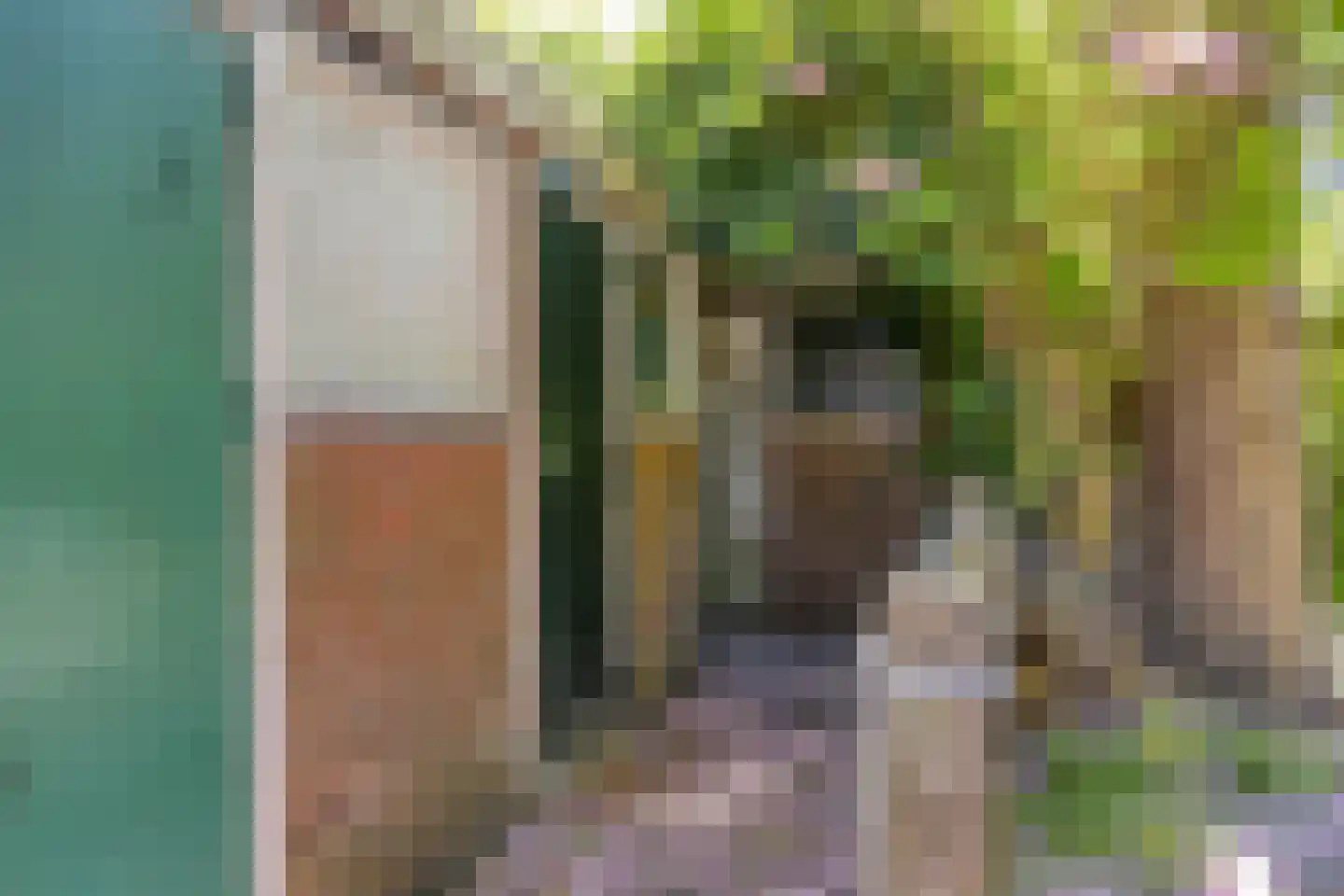 Van Starkenborghstraat 97 Groningen thumbnail 36