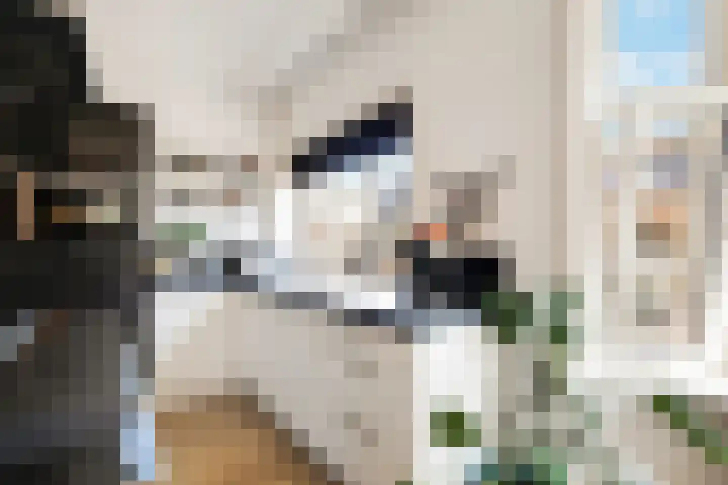 Van Staverenstraat 10 A Rotterdam thumbnail 18