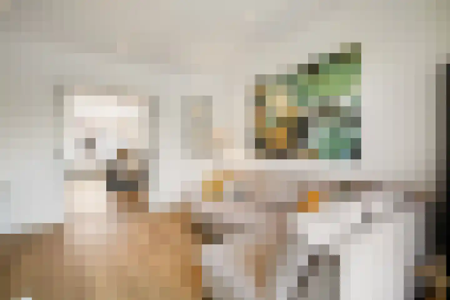 Van Staverenstraat 10 A Rotterdam thumbnail 9
