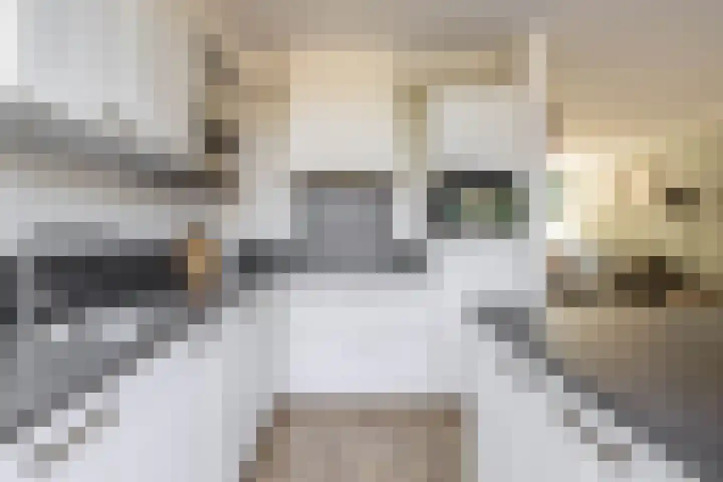 Van Staverenstraat 27 Reeuwijk thumbnail 9