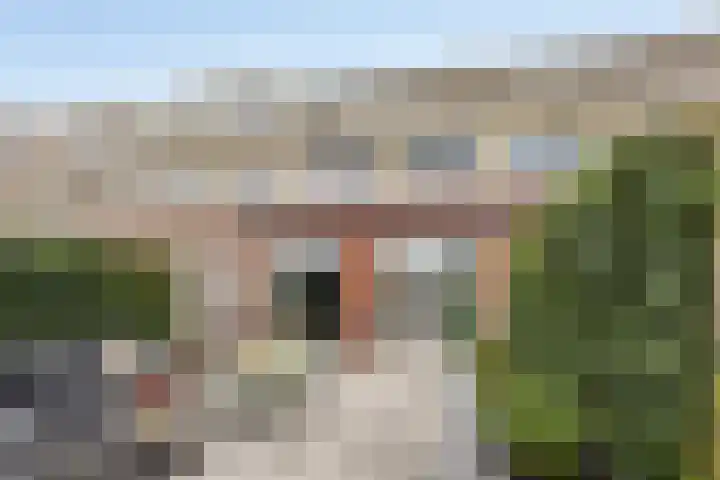 Van Staverenstraat 33 a Reeuwijk thumbnail 12
