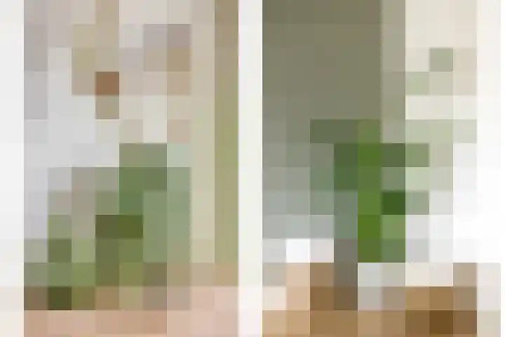 Van Staverenstraat 33 a Reeuwijk thumbnail 6
