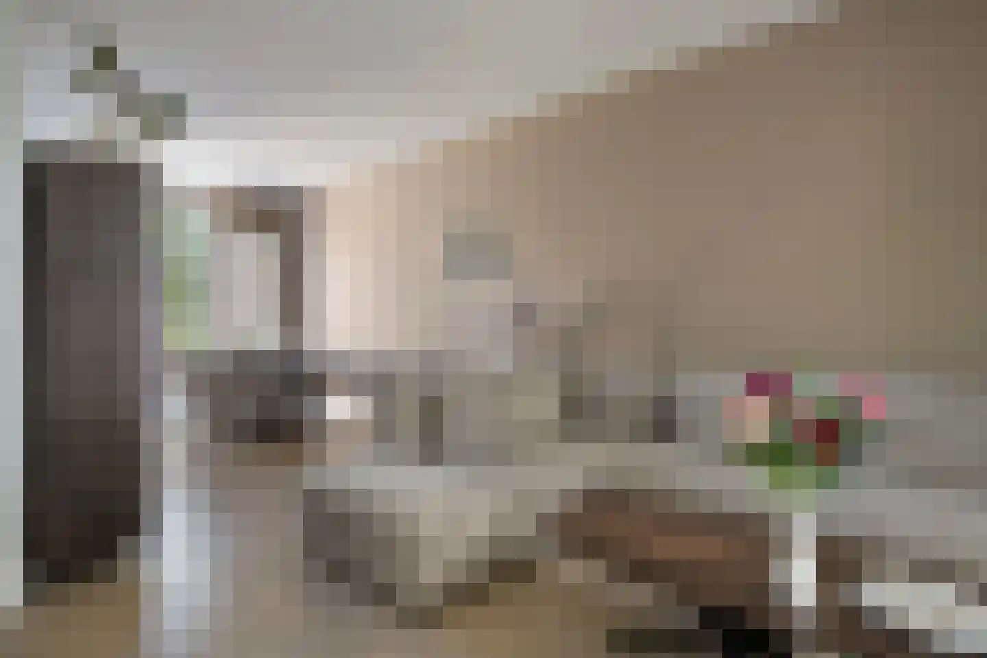 van Steenbergenlaan 13 Terneuzen thumbnail 12