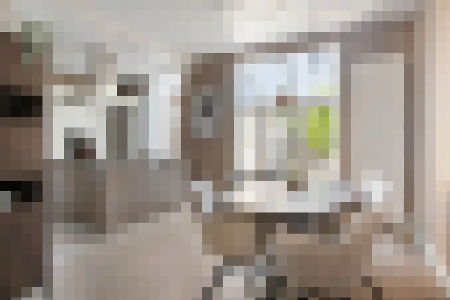 van Steenbergenlaan 13 Terneuzen thumbnail 14