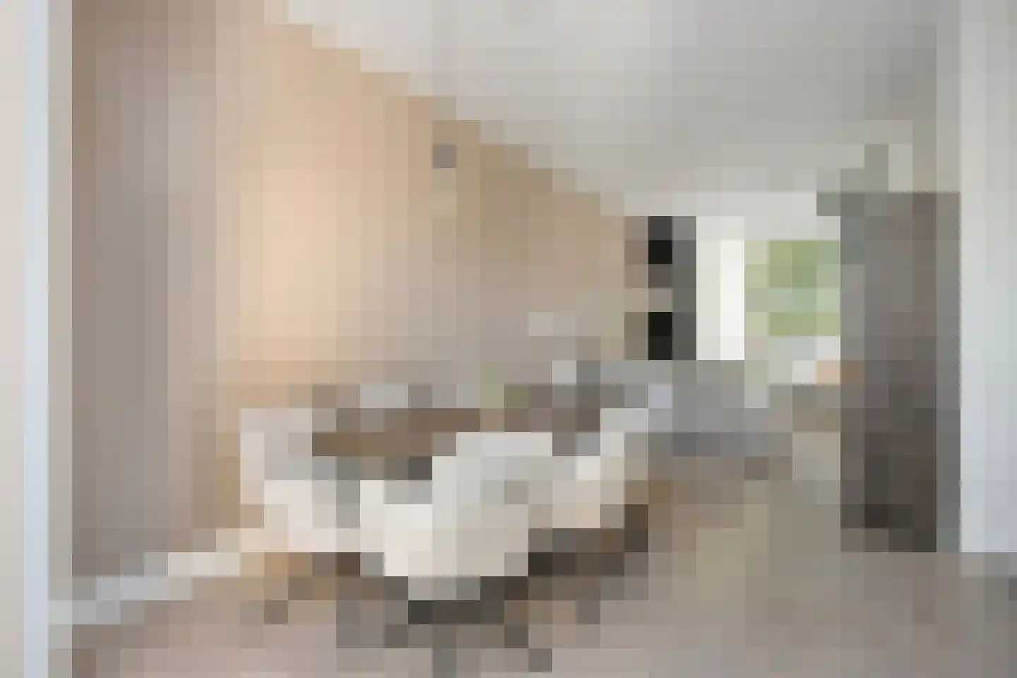 van Steenbergenlaan 13 Terneuzen thumbnail 15