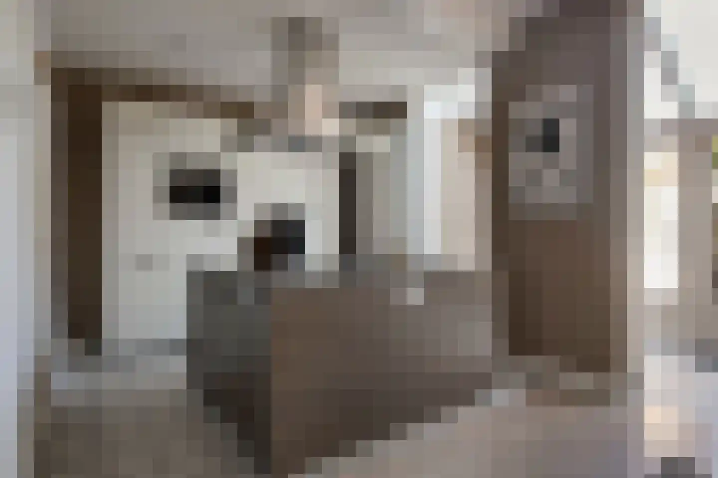 van Steenbergenlaan 13 Terneuzen thumbnail 17