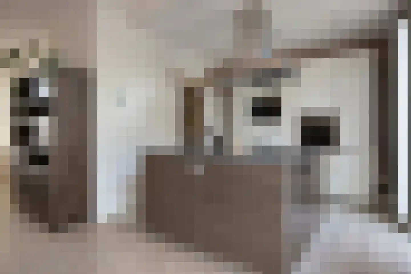 van Steenbergenlaan 13 Terneuzen thumbnail 18