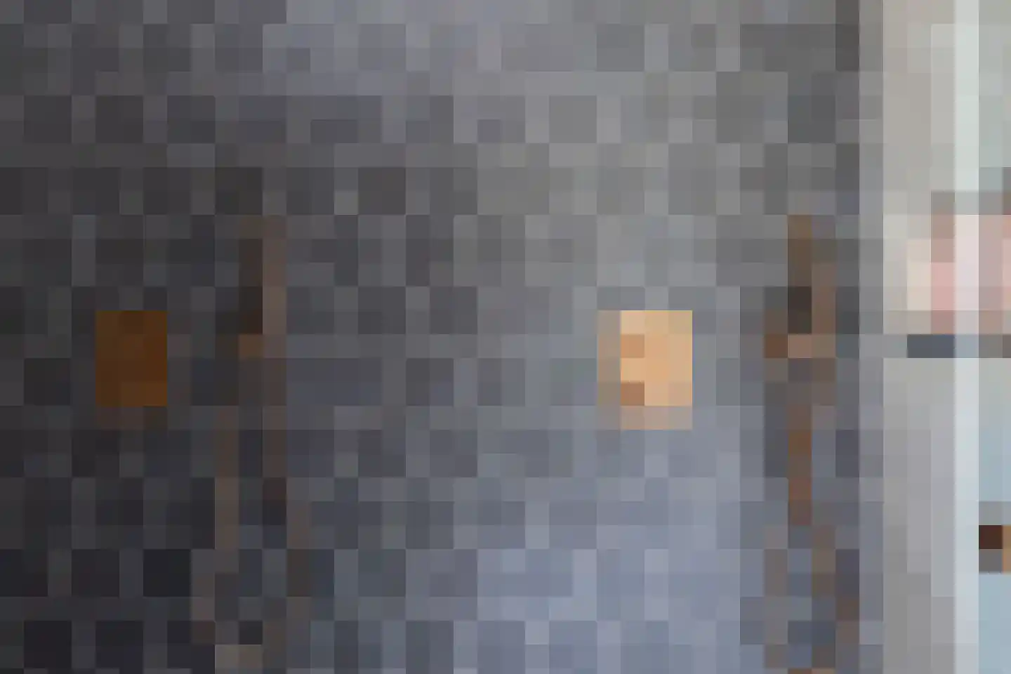 van Steenbergenlaan 13 Terneuzen thumbnail 33