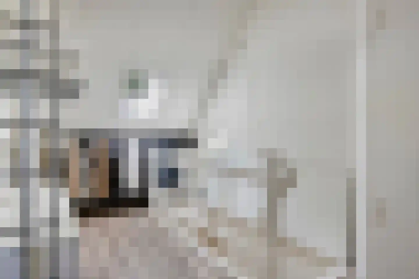 van Steenbergenlaan 13 Terneuzen thumbnail 38