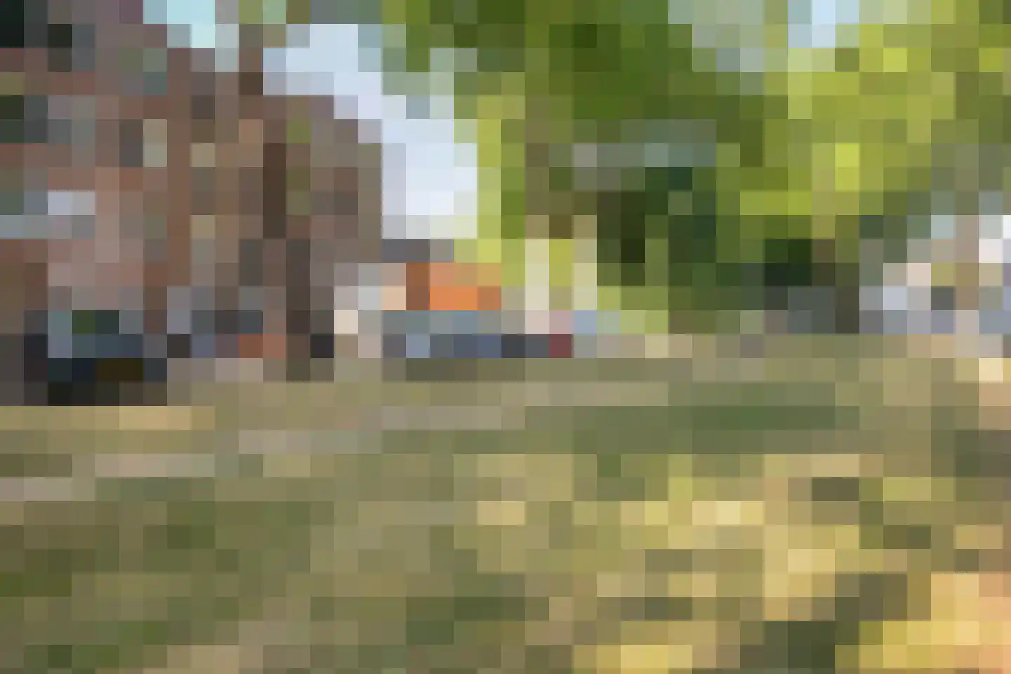 van Steenbergenlaan 13 Terneuzen thumbnail 47