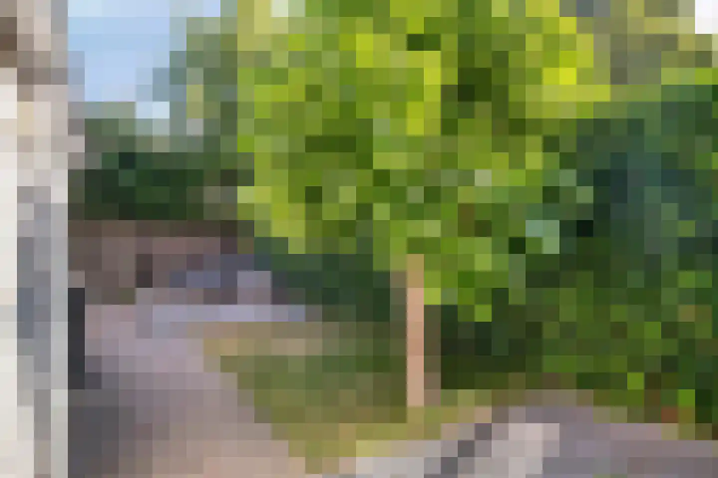 van Steenbergenlaan 13 Terneuzen thumbnail 48