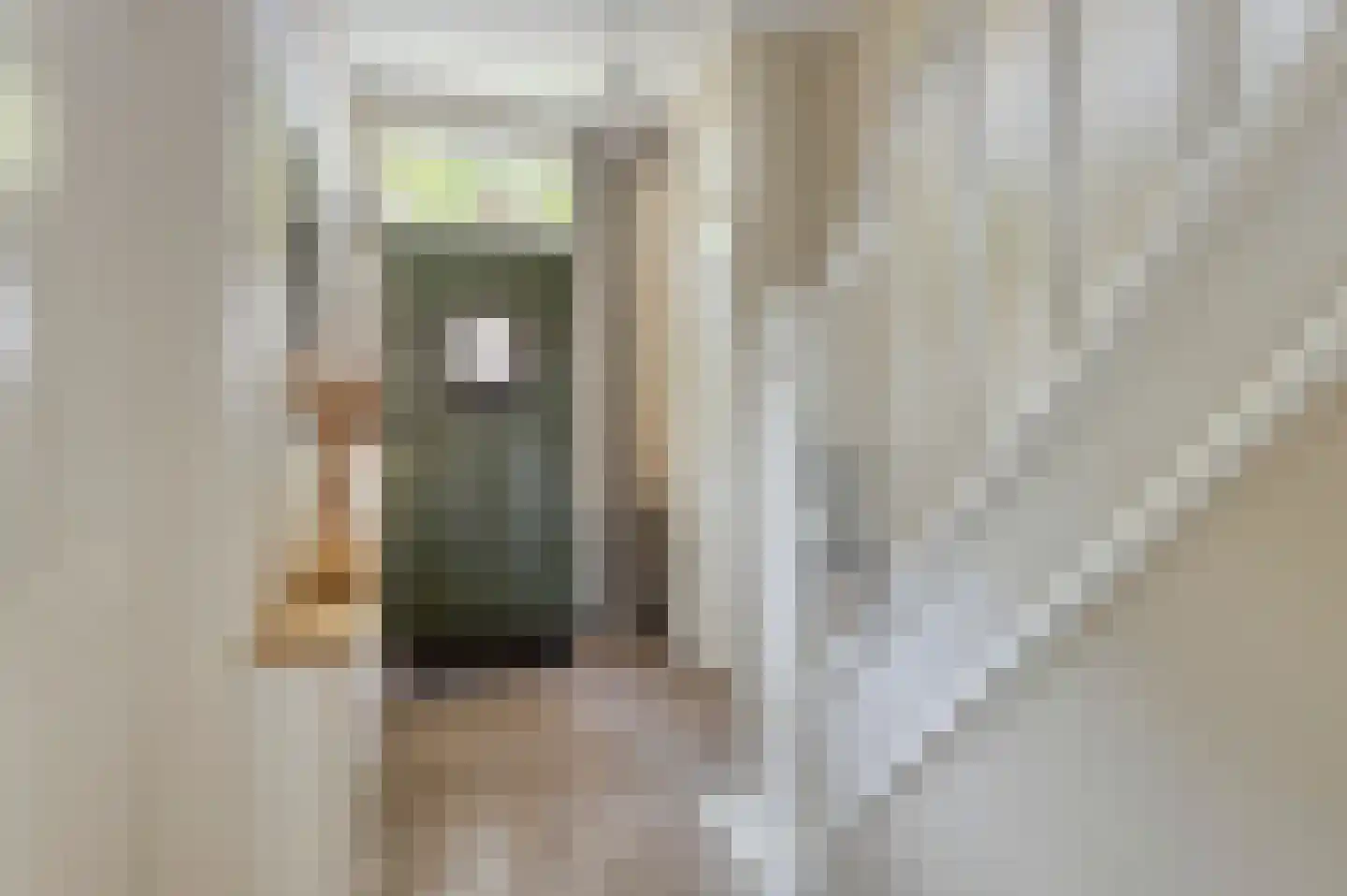 van Steenbergenlaan 13 Terneuzen thumbnail 7