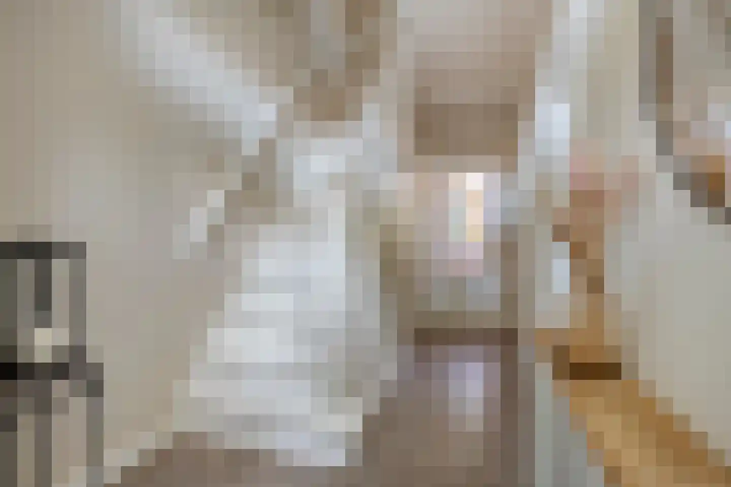 van Steenbergenlaan 13 Terneuzen thumbnail 8