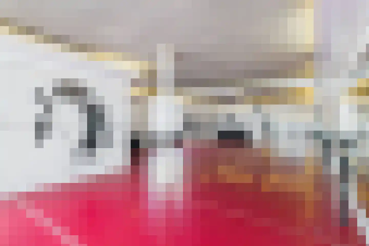 van Steenbergenlaan 2 Terneuzen thumbnail 11