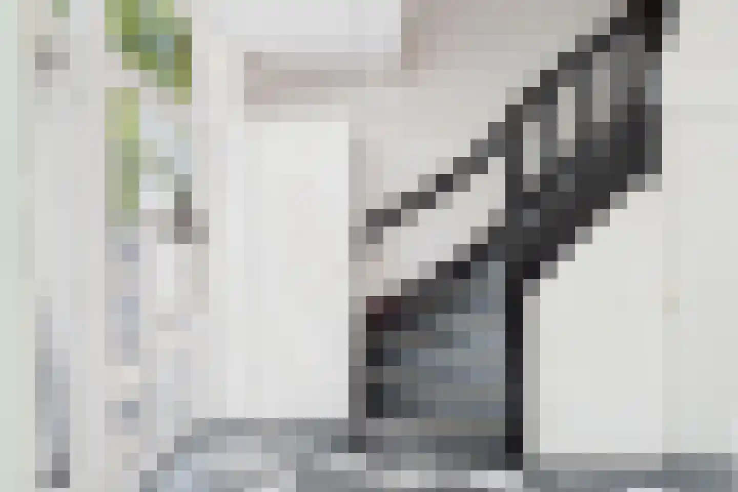 van Steenbergenlaan 2 Terneuzen thumbnail 13