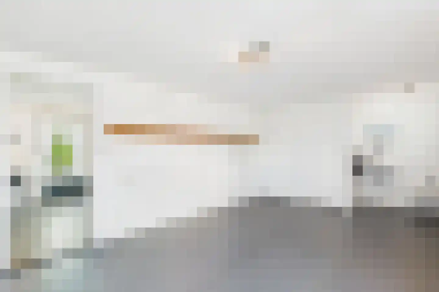 van Steenbergenlaan 2 Terneuzen thumbnail 17