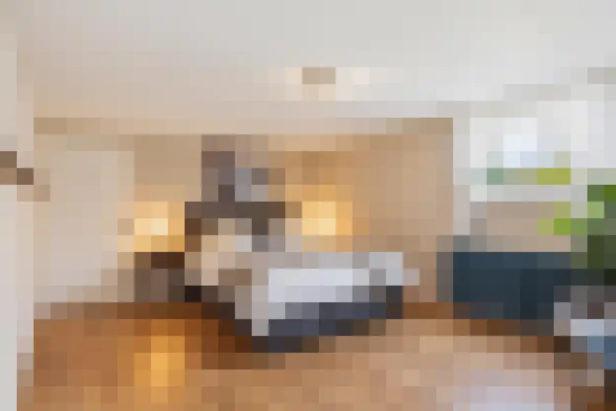 van Steenbergenlaan 2 Terneuzen thumbnail 6