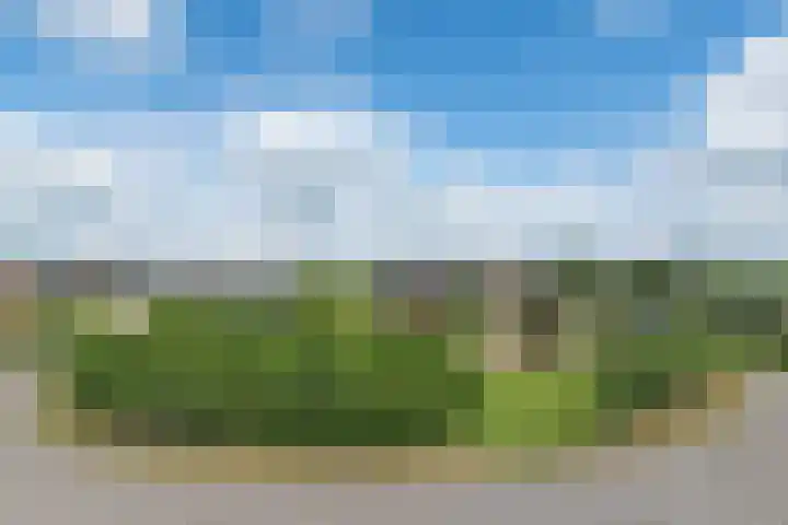 Van Steenbergenlaan 27 Woudenberg thumbnail 30