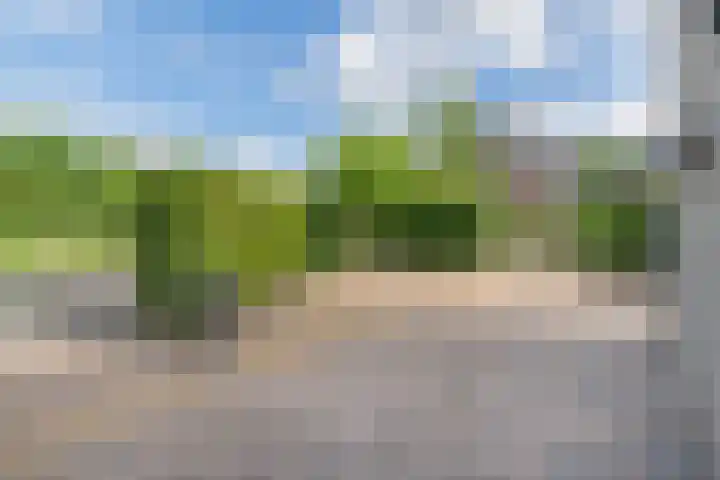 Van Steenbergenlaan 27 Woudenberg thumbnail 31