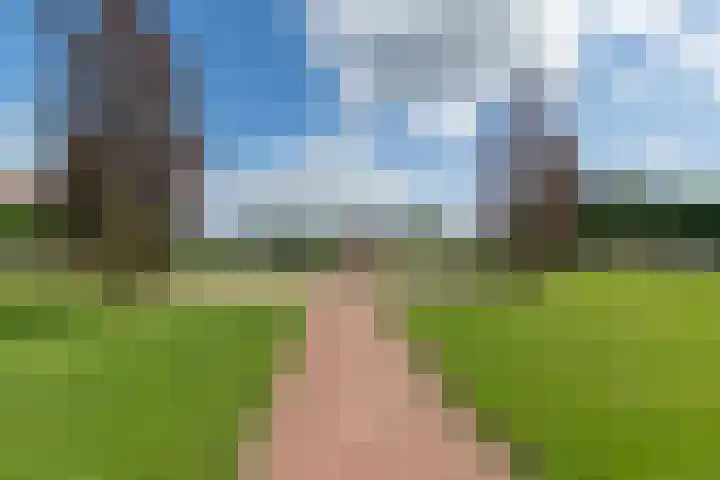 Van Steenbergenlaan 27 Woudenberg thumbnail 34