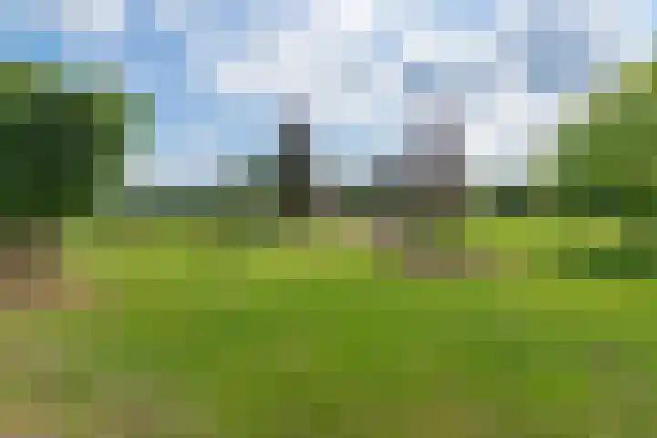 Van Steenbergenlaan 27 Woudenberg thumbnail 35