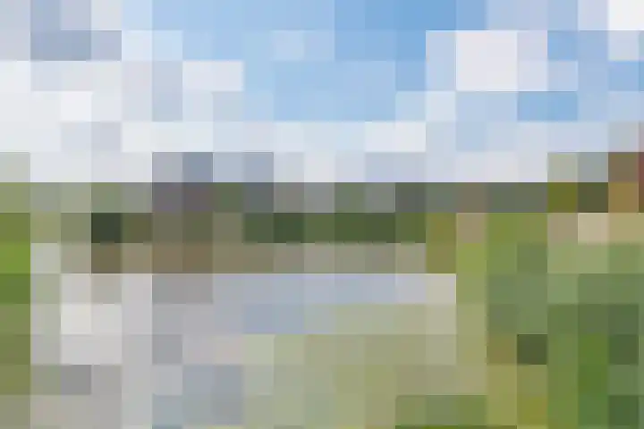Van Steenbergenlaan 27 Woudenberg thumbnail 36