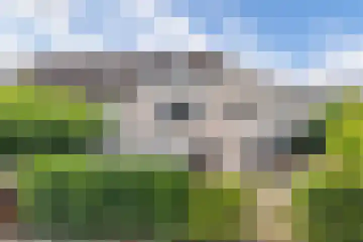 Van Steenbergenlaan 27 Woudenberg thumbnail 37