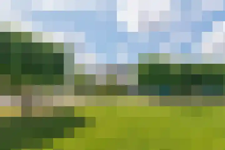 Van Steenbergenlaan 27 Woudenberg thumbnail 5