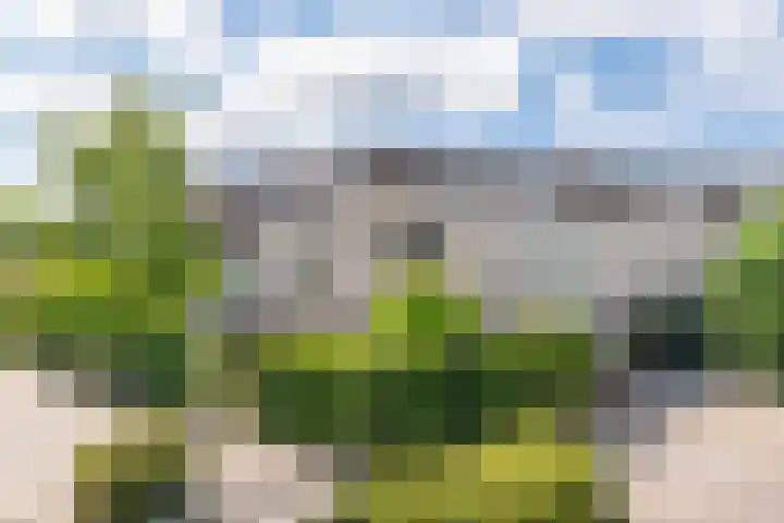 Van Steenbergenlaan 27 Woudenberg thumbnail 6