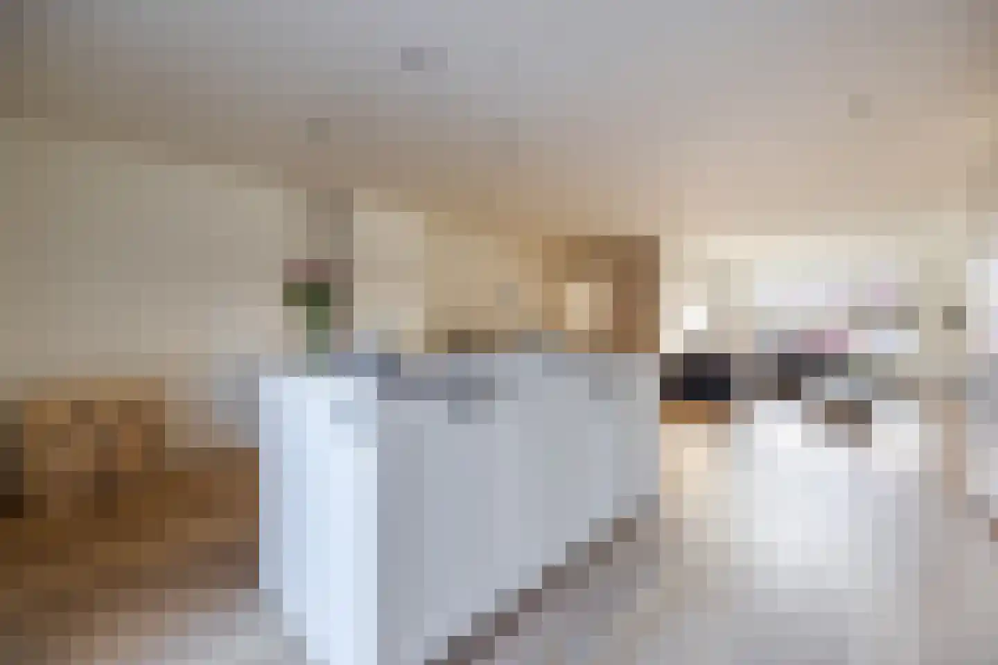 van Steenbergenlaan 3 Terneuzen thumbnail 13