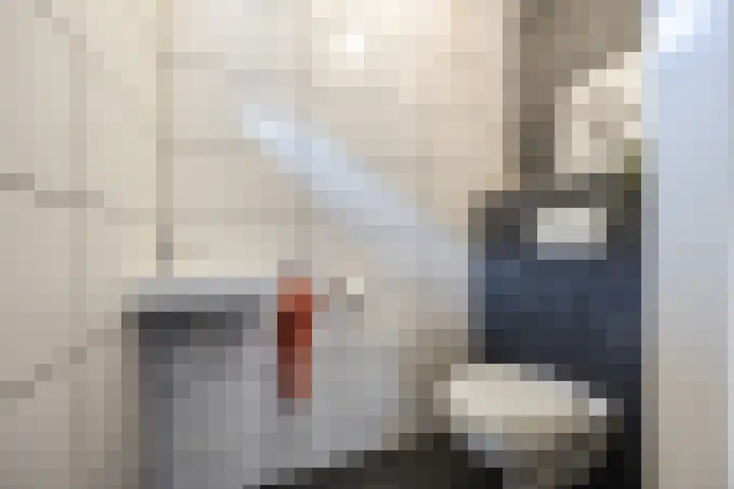 van Steenbergenlaan 3 Terneuzen thumbnail 16