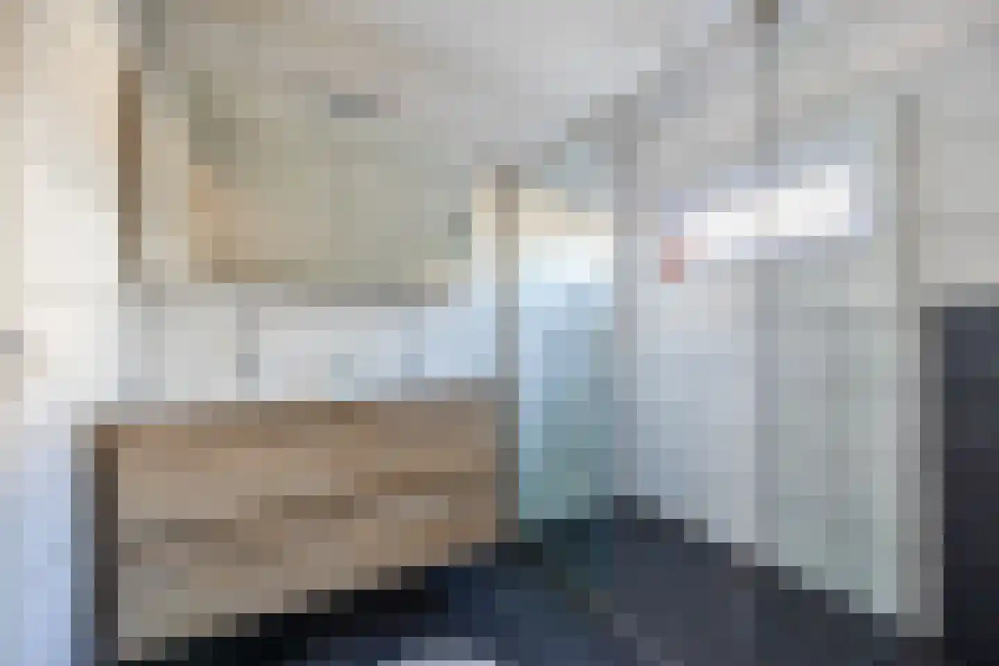 van Steenbergenlaan 3 Terneuzen thumbnail 24