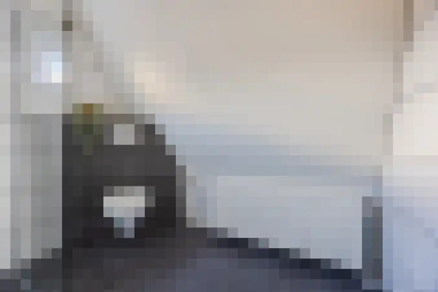 van Steenbergenlaan 3 Terneuzen thumbnail 25