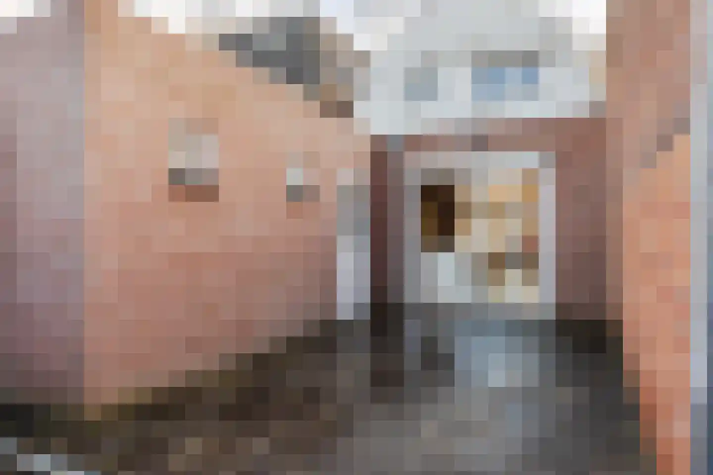 van Steenbergenlaan 3 Terneuzen thumbnail 26