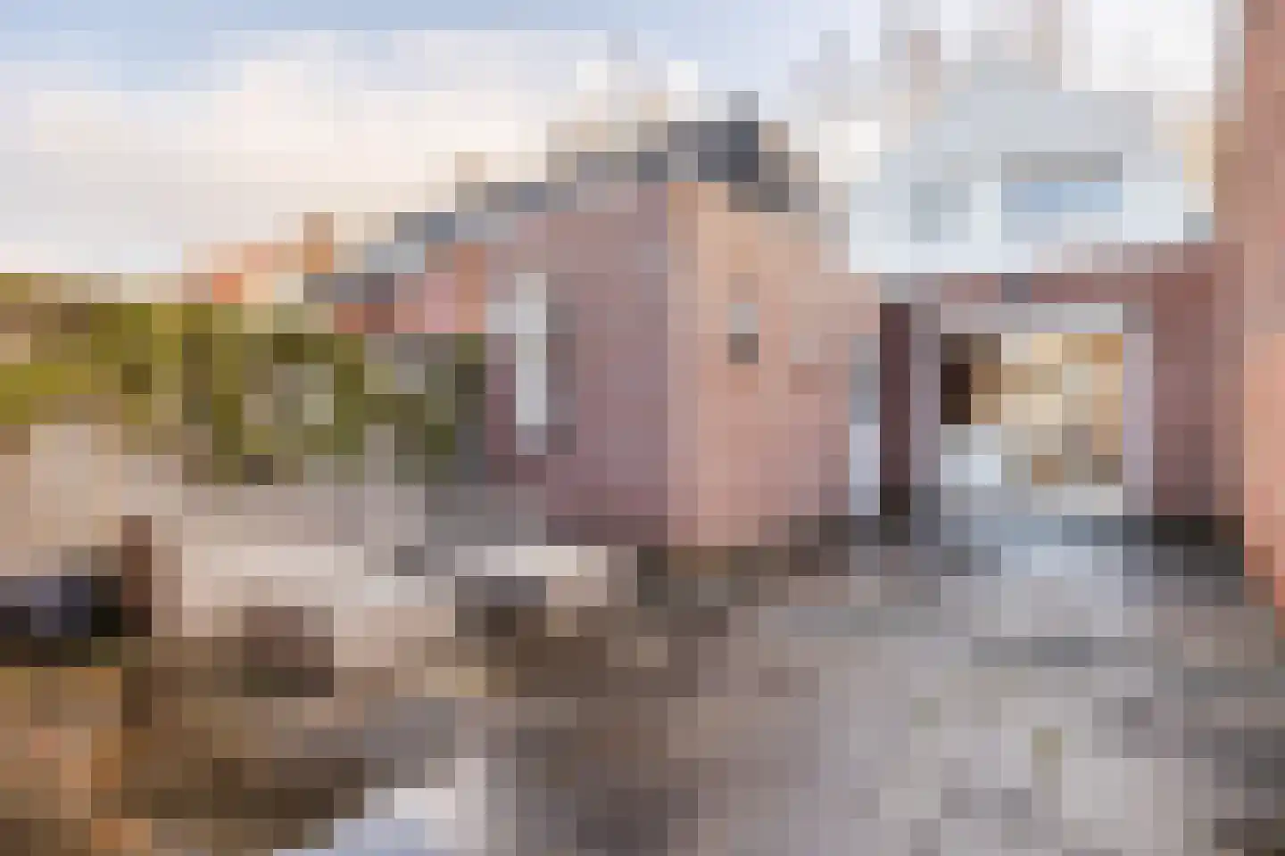 van Steenbergenlaan 3 Terneuzen thumbnail 28