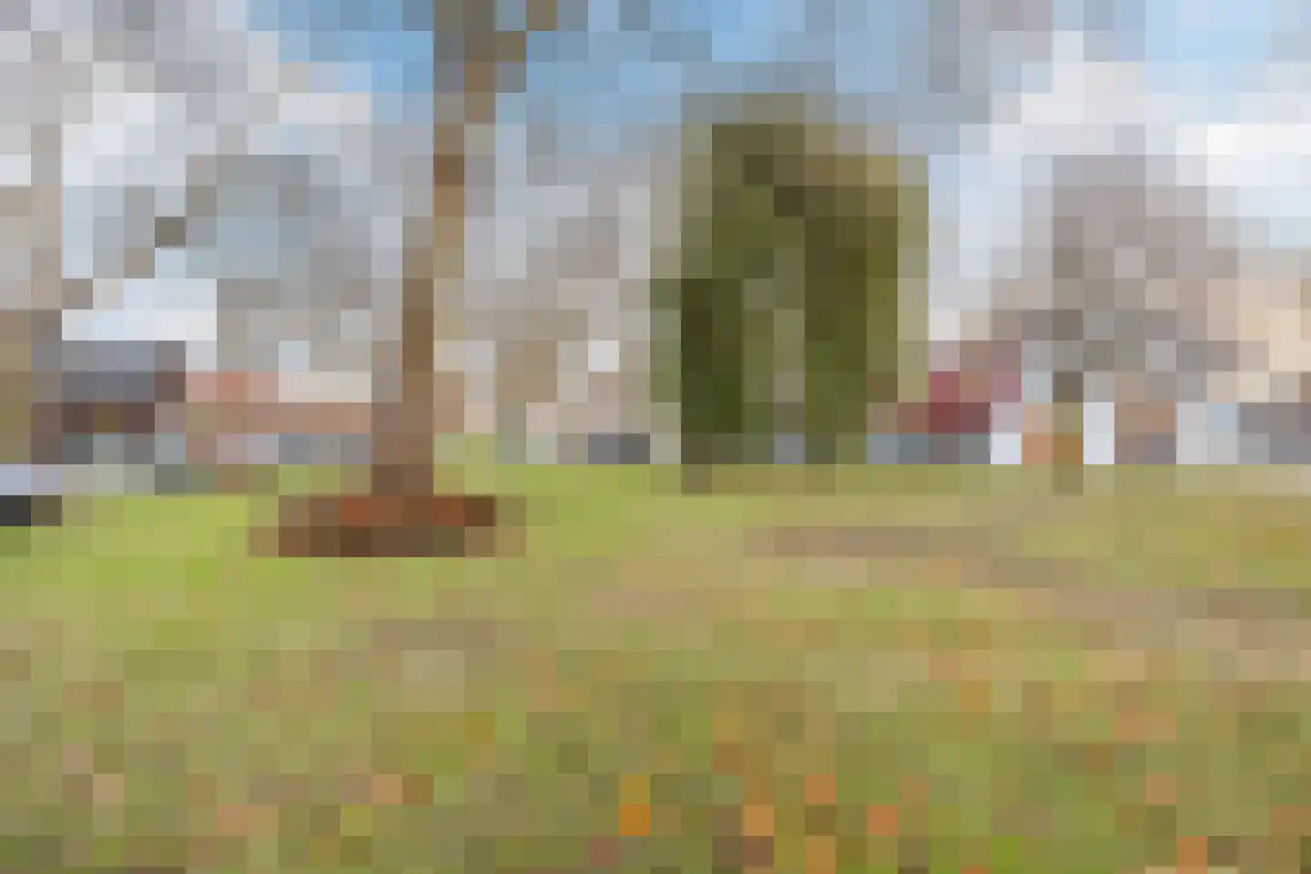 van Steenbergenlaan 3 Terneuzen thumbnail 29