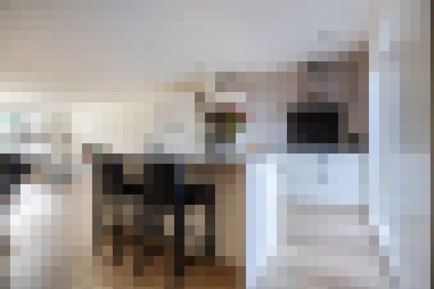 van Steenbergenlaan 3 Terneuzen thumbnail 9