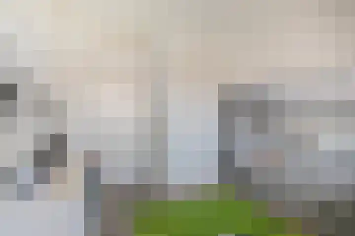 Van Steenbergenlaan 44 Woudenberg thumbnail 17