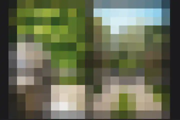 Van Steenbergenlaan 44 Woudenberg thumbnail 33